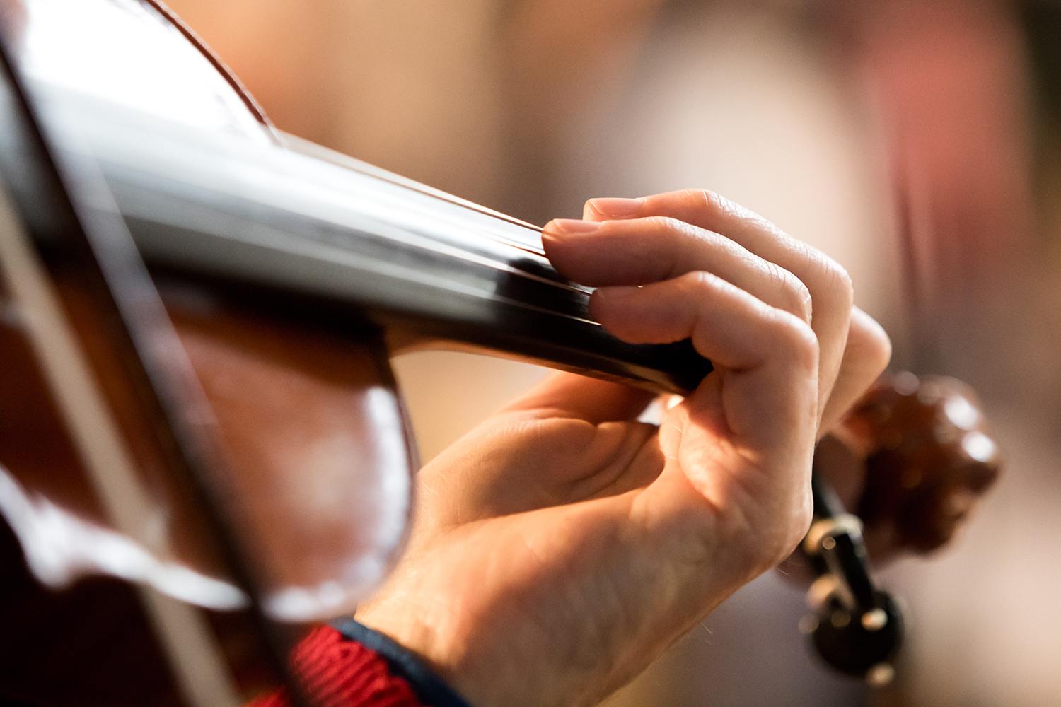 Zeister Philharmonisch Orkest